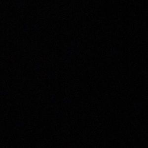 Meet your Posher, Bianca